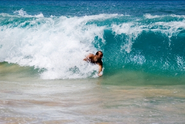Catch The Wave Catch The Wave